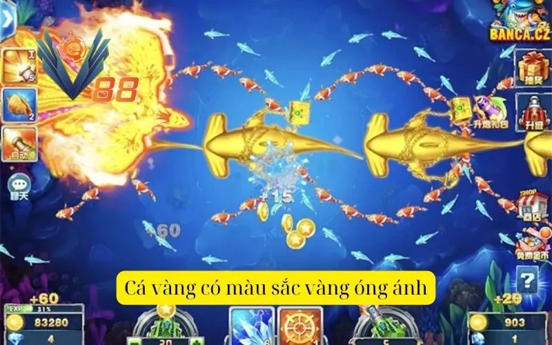 Cá vàng có màu sắc vàng óng ánh