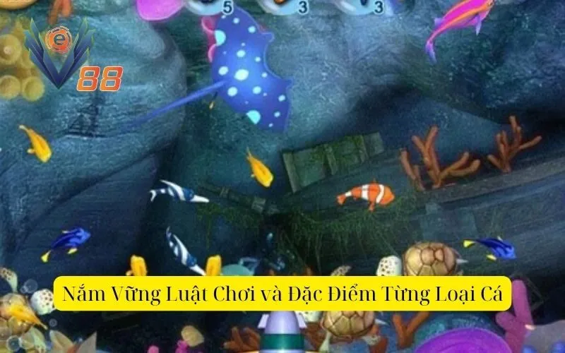 Nắm Vững Luật Chơi và Đặc Điểm Từng Loại Cá