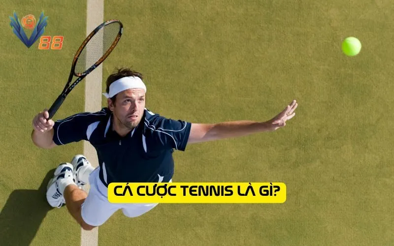 Cá cược tennis là gì?