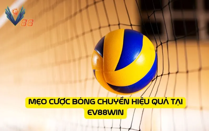 Mẹo cược bóng chuyền hiệu quả tại EV88WIN