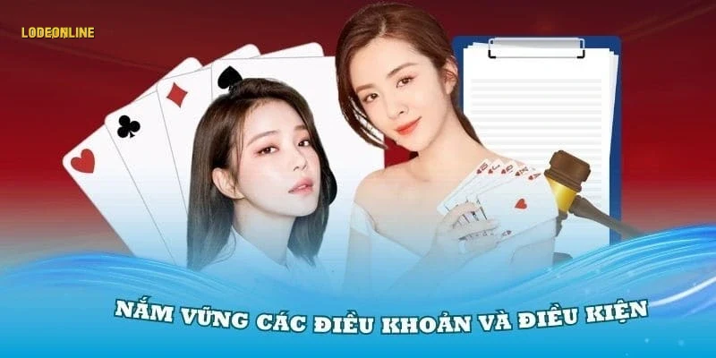 Định nghĩa và vai trò của điều khoản điều kiện